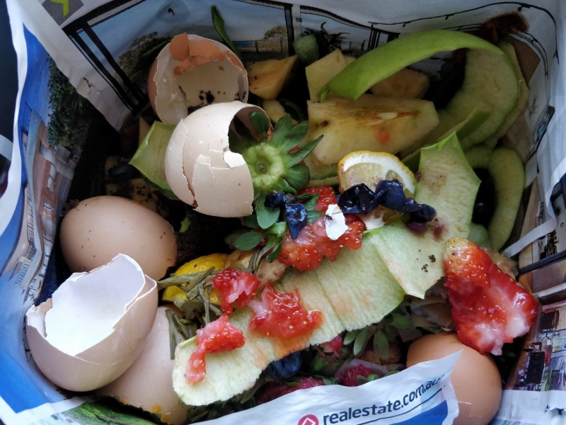 Reduce food wastage