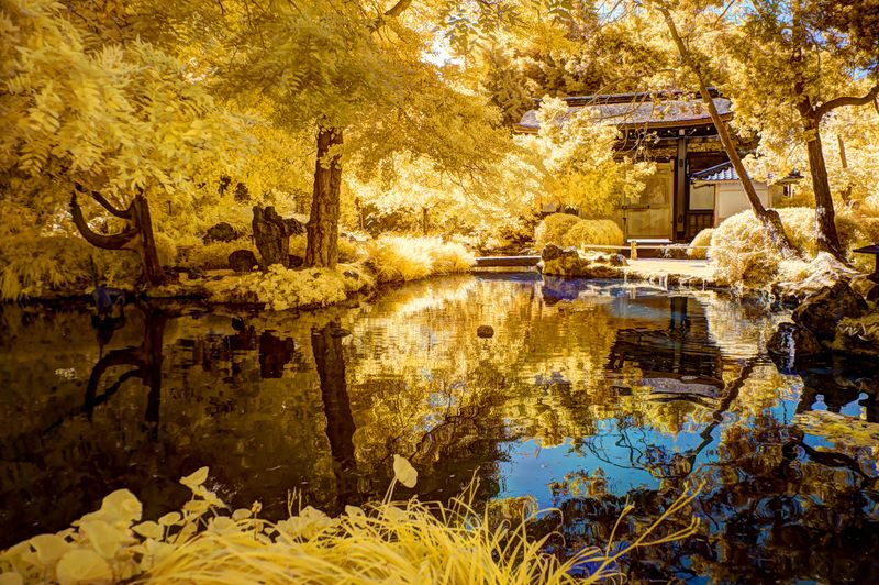 Japanese Tea Gardens, San Francisco