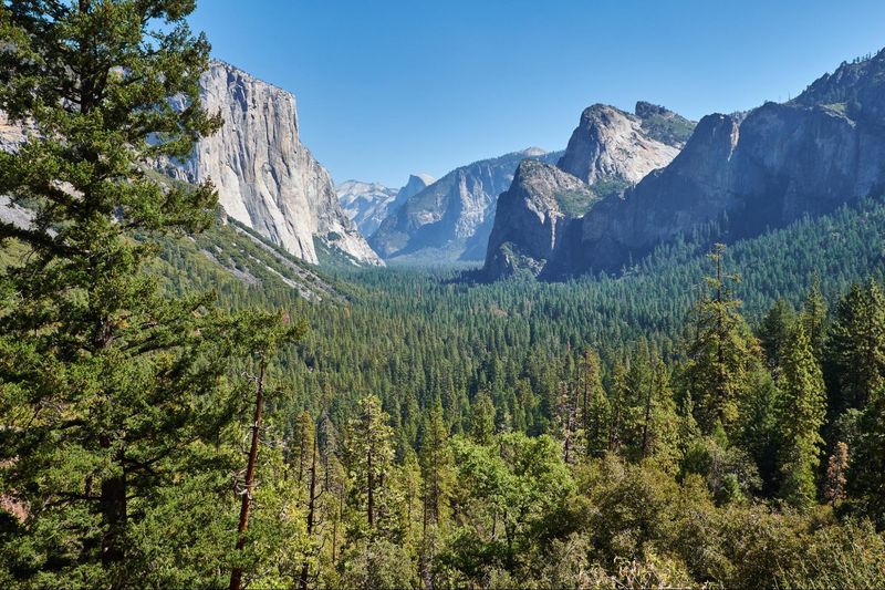 Yosemite National Park, San Francisco